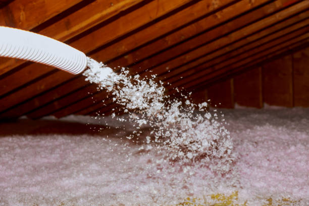 Professional Insulation Contractor in Bonham, TX