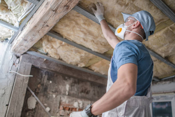 Best Specialized Insulation Services in Bonham, TX